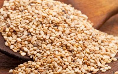 Sesame Seeds