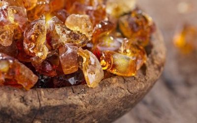 Gum Arabic