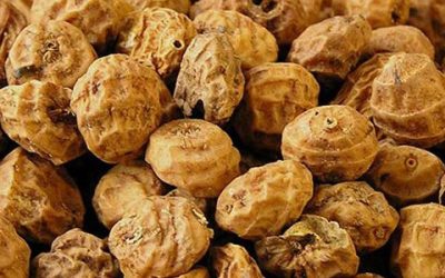 Tiger Nuts